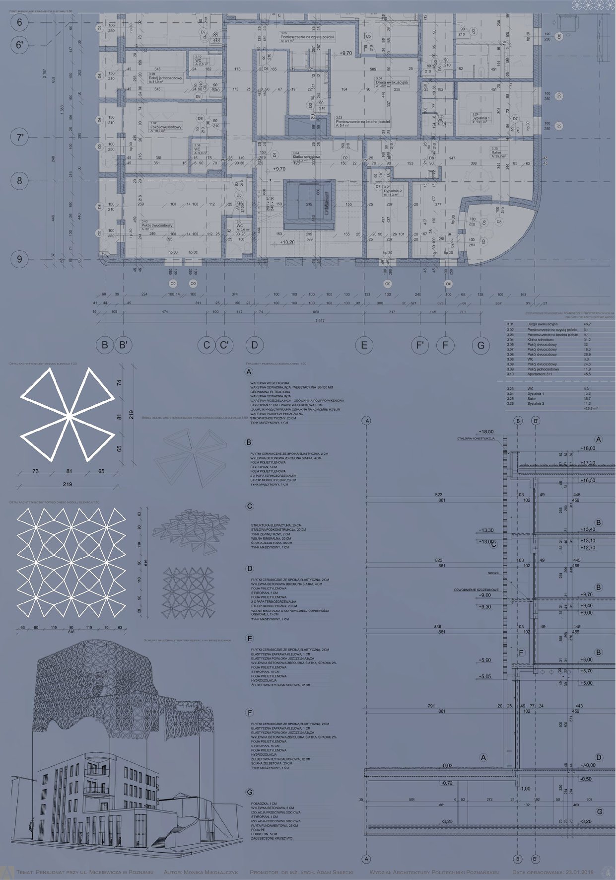 52420962_2220612434861451_6499718753729642496_n